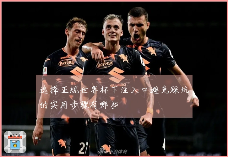 选择正规世界杯下注入口避免踩坑的实用步骤有哪些
