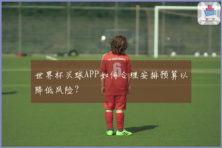 世界杯买球APP如何合理安排预算以降低风险？
